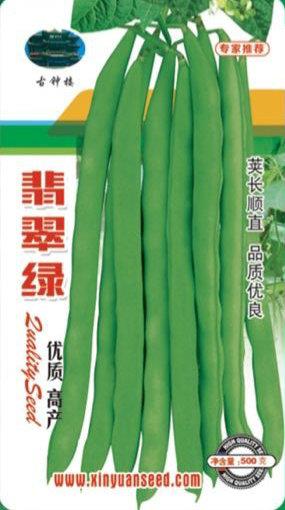 翡翠绿——架豆